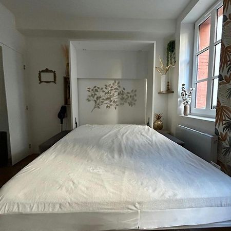 Casa Nostra - T1 - Terrasse Privative Διαμέρισμα Τουλούζη Εξωτερικό φωτογραφία