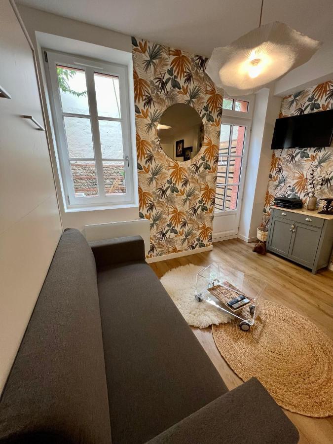 Casa Nostra - T1 - Terrasse Privative Διαμέρισμα Τουλούζη Εξωτερικό φωτογραφία