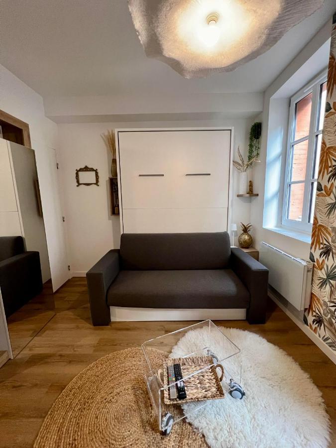 Casa Nostra - T1 - Terrasse Privative Διαμέρισμα Τουλούζη Εξωτερικό φωτογραφία
