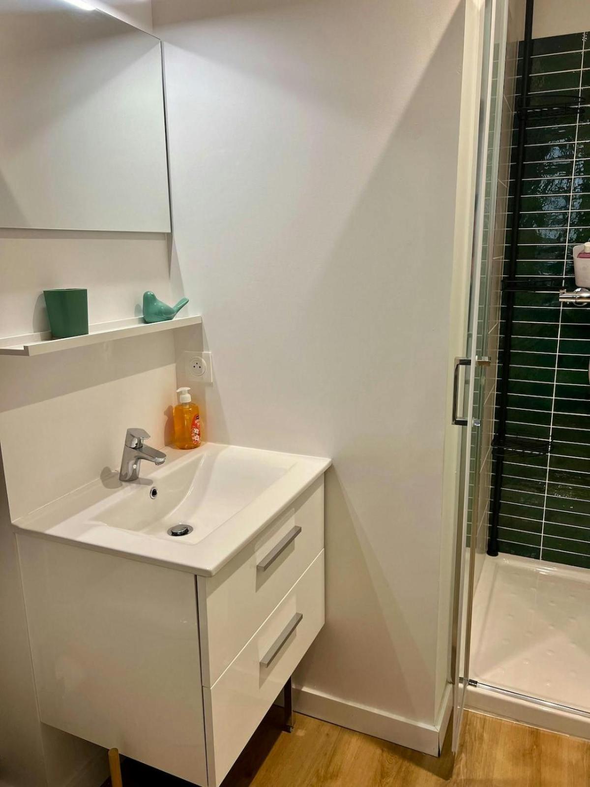 Casa Nostra - T1 - Terrasse Privative Διαμέρισμα Τουλούζη Εξωτερικό φωτογραφία